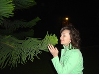 ���� �� ��� ����